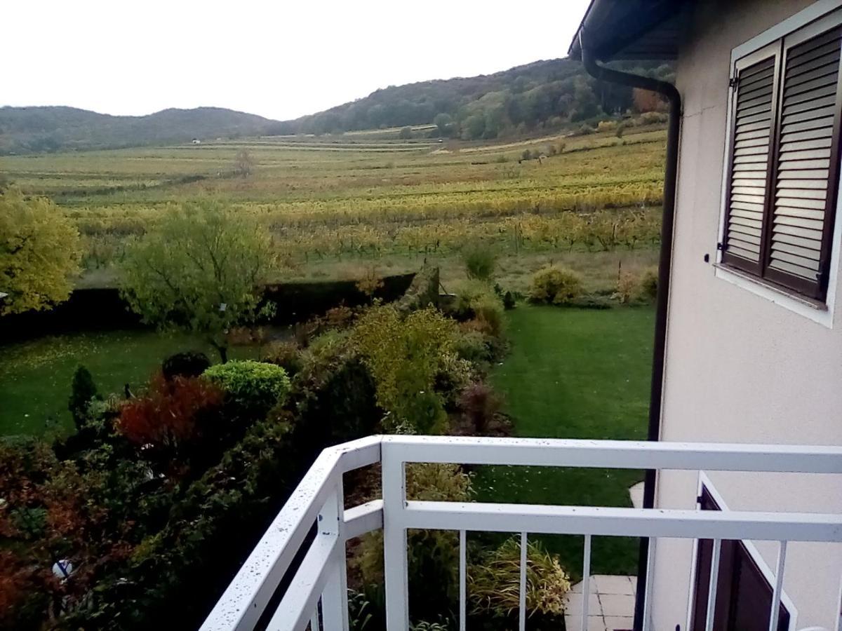 Top Over Vienna, Perchtoldsdorf Weinberge Ideal With Car Apartment Ngoại thất bức ảnh