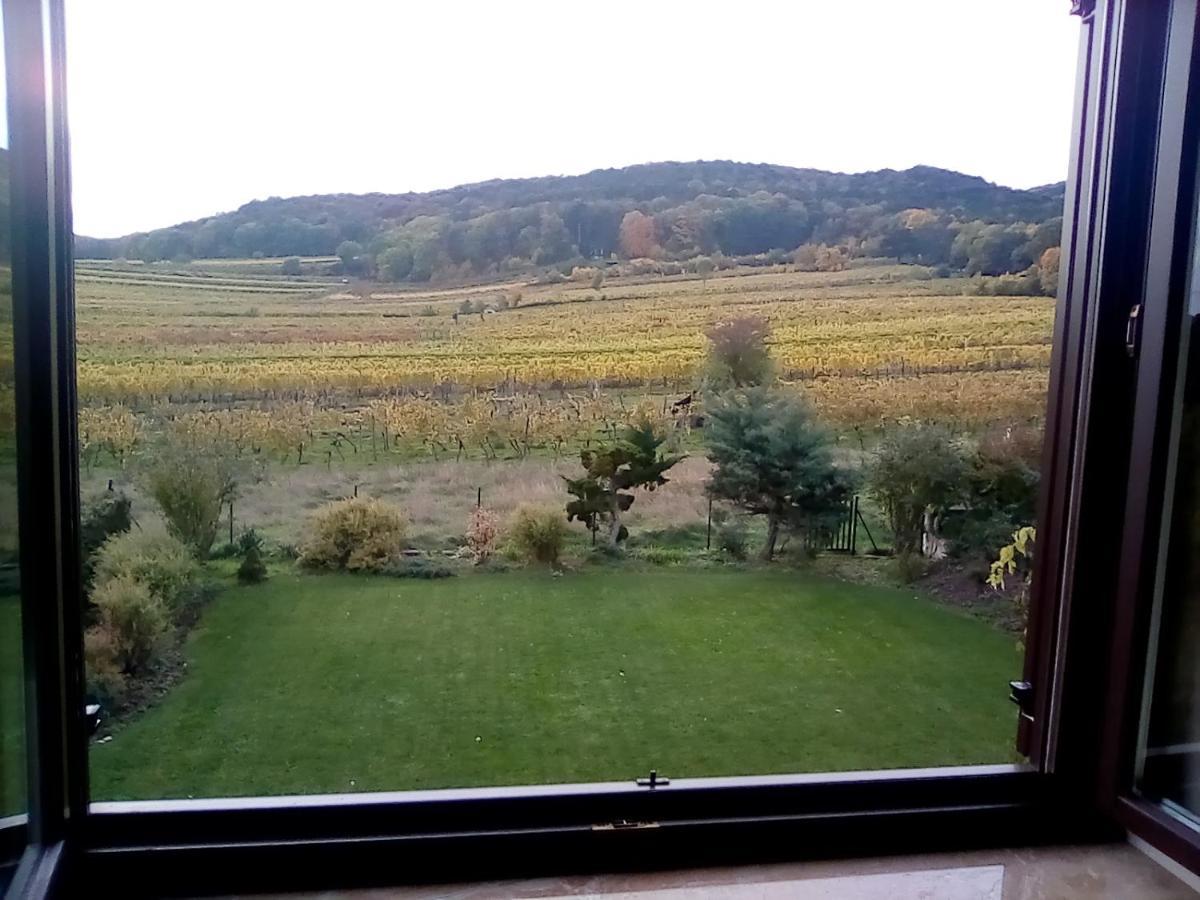 Top Over Vienna, Perchtoldsdorf Weinberge Ideal With Car Apartment Ngoại thất bức ảnh