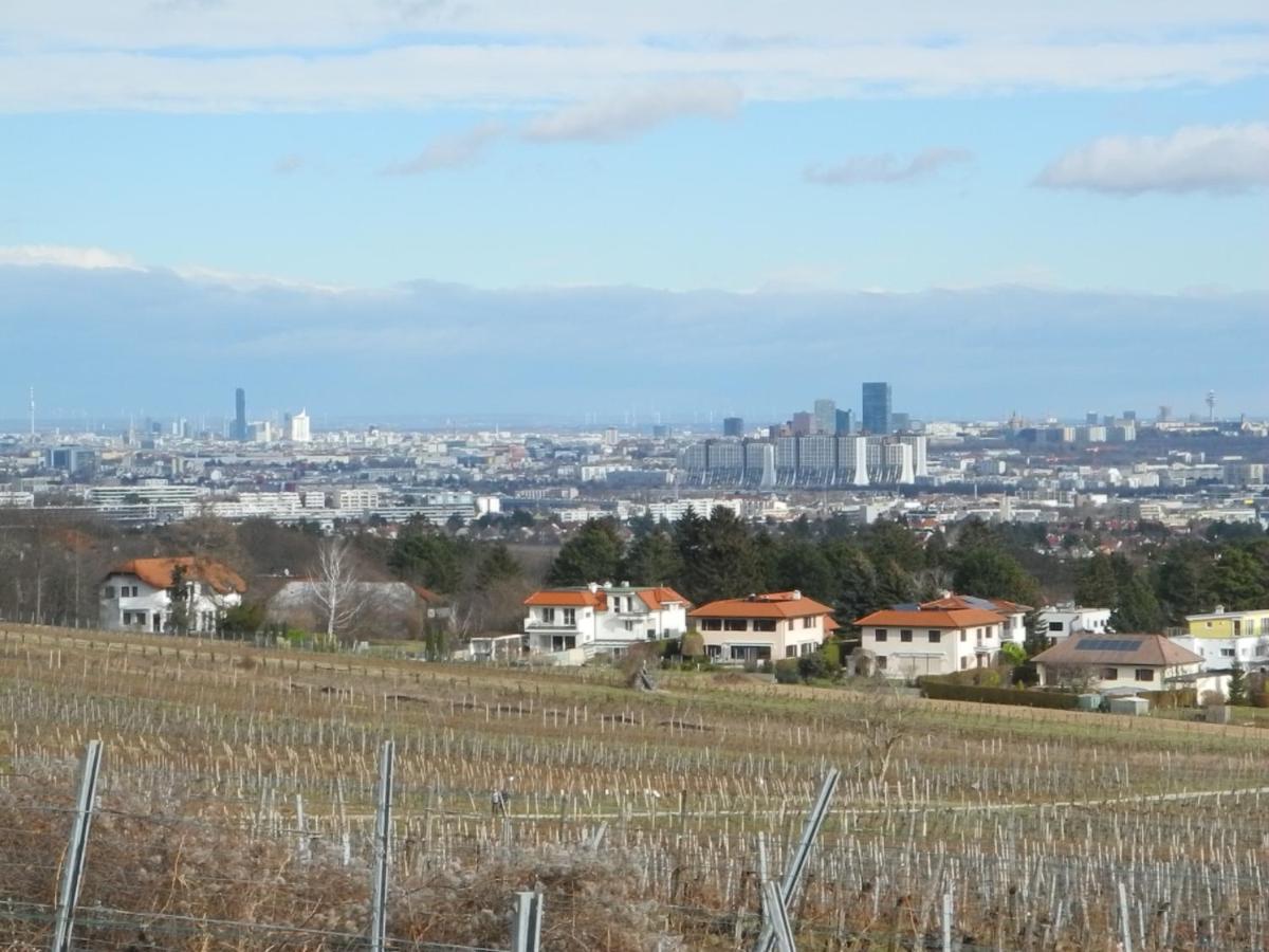 Top Over Vienna, Perchtoldsdorf Weinberge Ideal With Car Apartment Ngoại thất bức ảnh