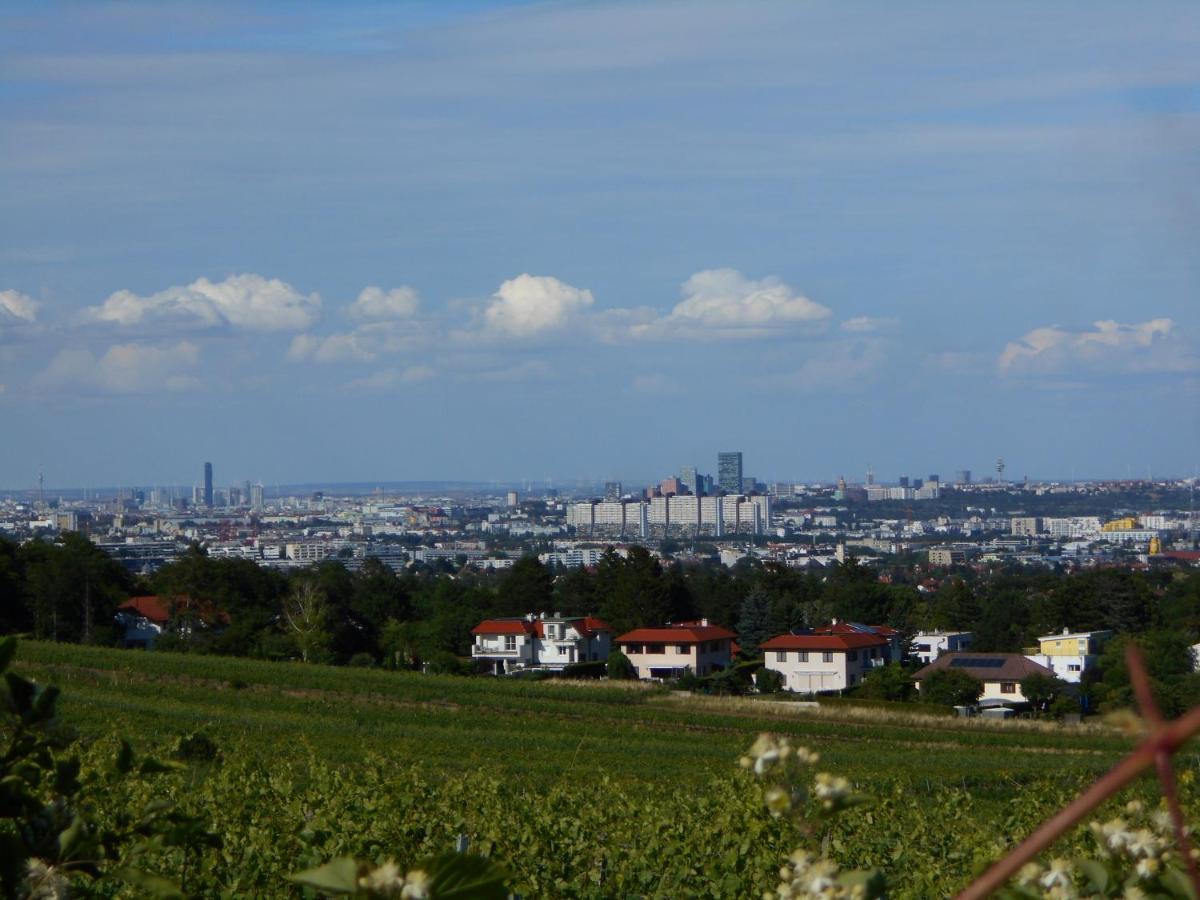 Top Over Vienna, Perchtoldsdorf Weinberge Ideal With Car Apartment Ngoại thất bức ảnh