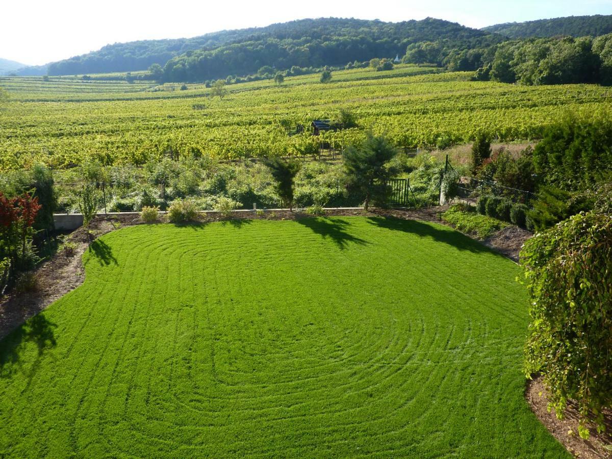 Top Over Vienna, Perchtoldsdorf Weinberge Ideal With Car Apartment Ngoại thất bức ảnh