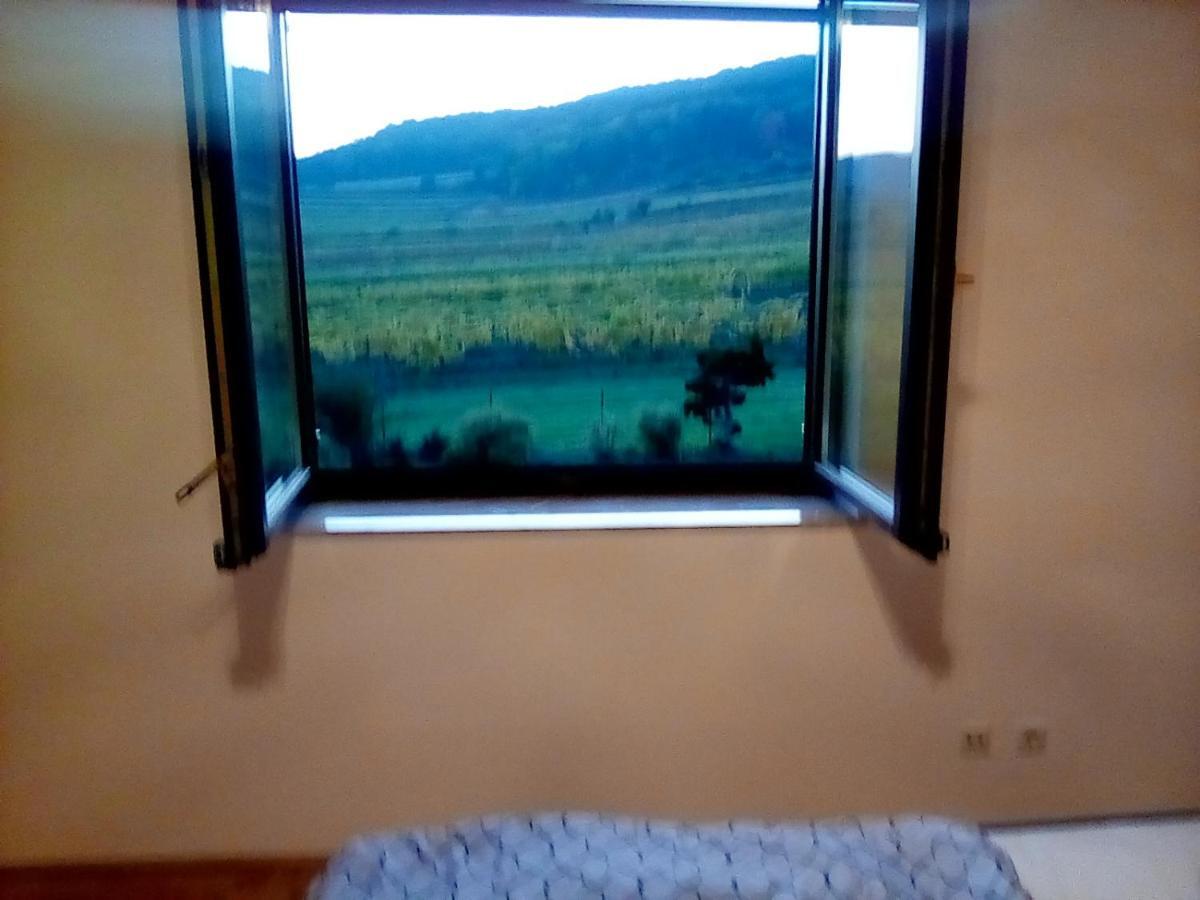 Top Over Vienna, Perchtoldsdorf Weinberge Ideal With Car Apartment Ngoại thất bức ảnh