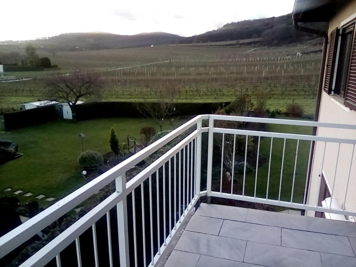 Top Over Vienna, Perchtoldsdorf Weinberge Ideal With Car Apartment Ngoại thất bức ảnh
